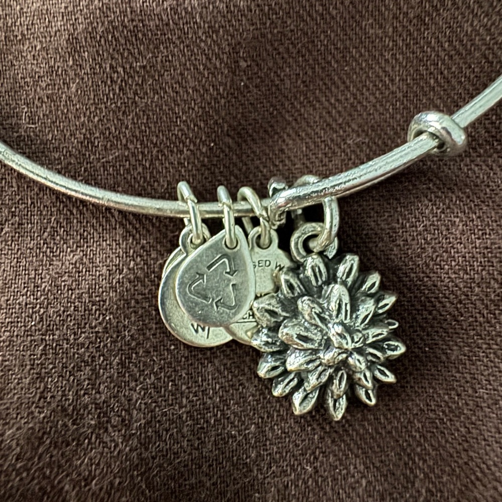 Alex and Ani Silver Charm Bracelet with Flower